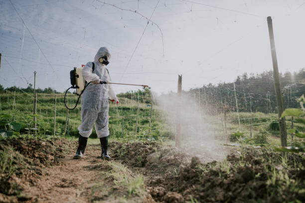 Best Commercial Pest Control Services  in Shannondale, WV