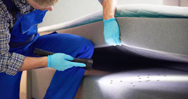 Best Exterminator Services  in Shannondale, WV