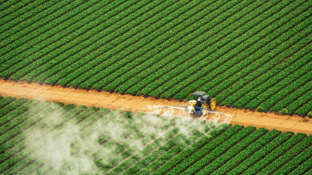 Best Pest Control Treatment  in Shannondale, WV